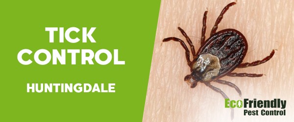 Ticks Control  Huntingdale