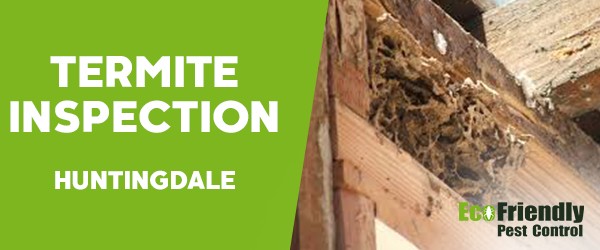 Termite Inspection  Huntingdale