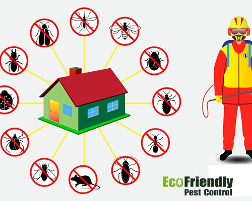 Pest Control  Huntingdale