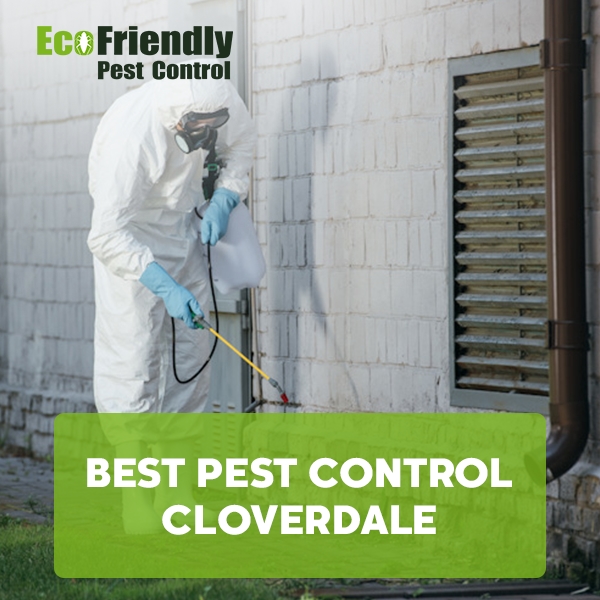 Best Pest Control  Cloverdale