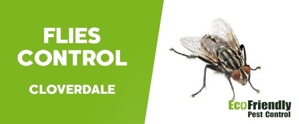 Flies Control  Cloverdale