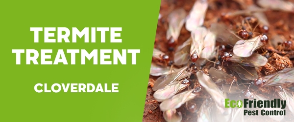 Termite Control  Cloverdale