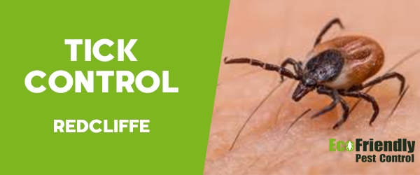 Ticks Control  Redcliffe 