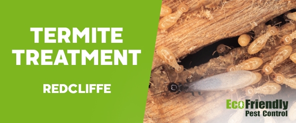 Termite Control  Redcliffe 