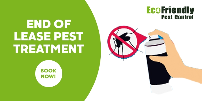 End of Lease Flea Control  Redcliffe 