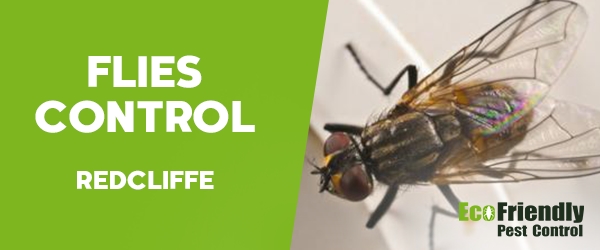 Flies Control  Redcliffe 