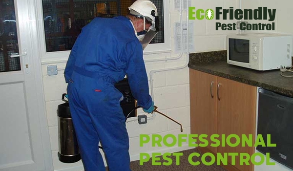 Pest Control Rivervale