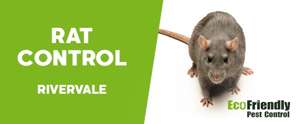 Pest Control Rivervale