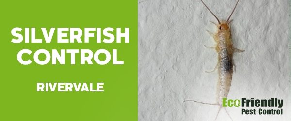 Pest Control Rivervale