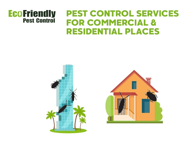 Pest Control Rivervale