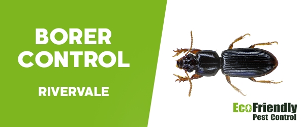 Pest Control Rivervale