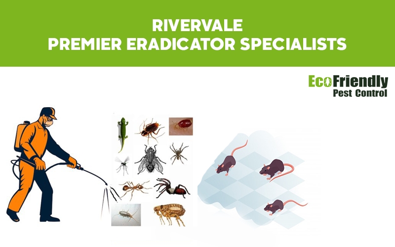 Pest Control Rivervale