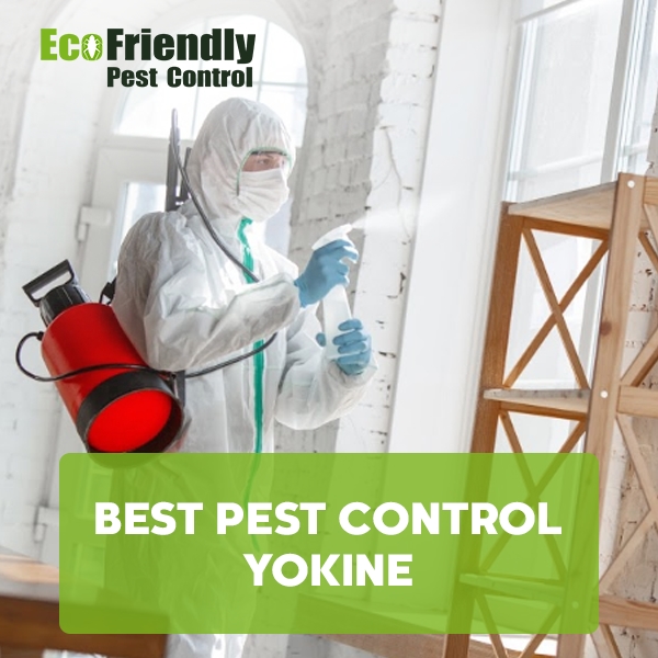Best Pest Control  Yokine 