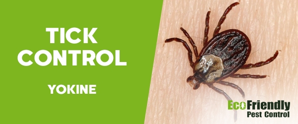 Ticks Control  Yokine 