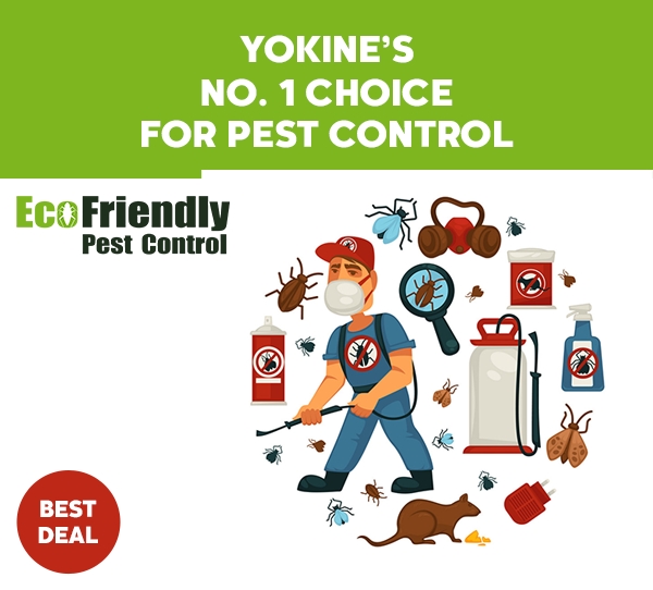 Pest Control Yokine