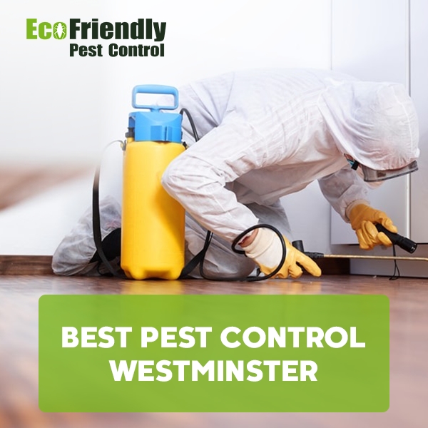 Best Pest Control Westminster