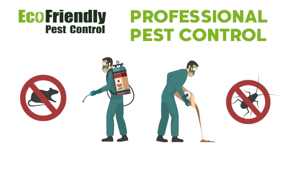 Pest Control Westminster