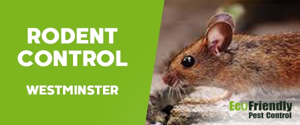 Pest Control Westminster