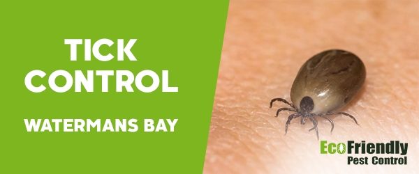 Ticks Control  Watermans Bay 