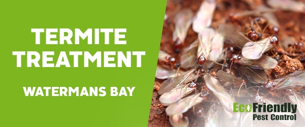 Termite Control  Watermans Bay 