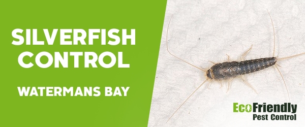 Silverfish Control  Watermans Bay 