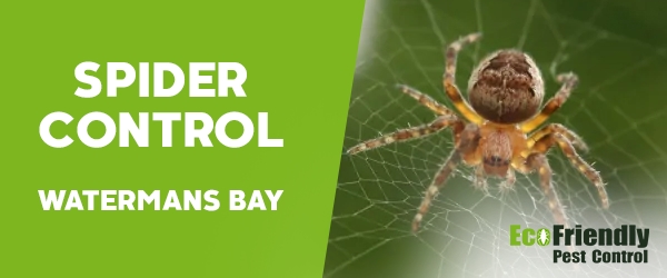 Spider Control  Watermans Bay 