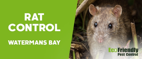 Rat Pest Control  Watermans Bay 