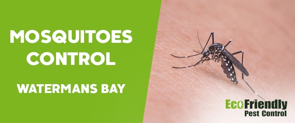 Mosquitoes Control  Watermans Bay 