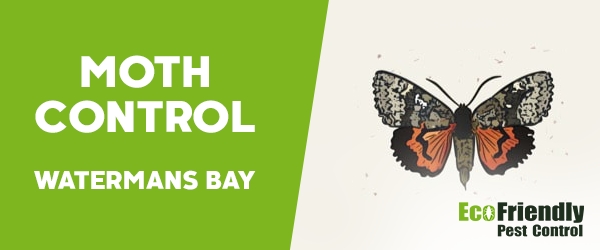 Moth Control  Watermans Bay 