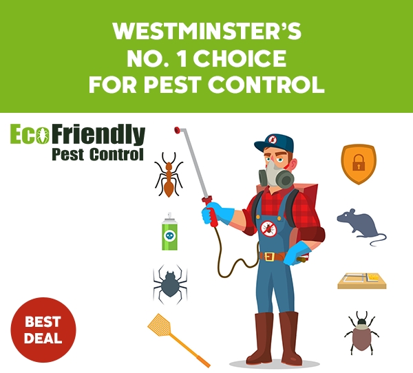 Pest Control Westminster