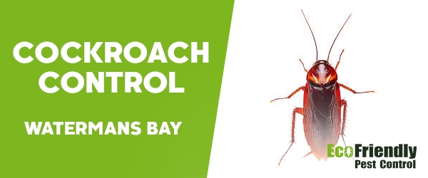 Cockroach Control  Watermans Bay  