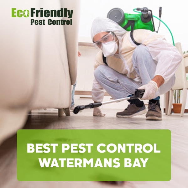 Best Pest Control  Watermans Bay 