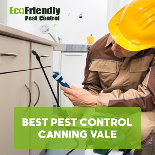 Best Pest Control Canning Vale