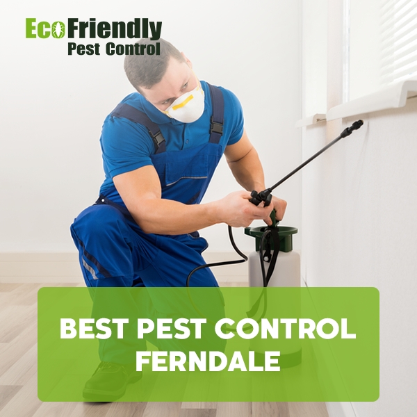 Best Pest Control  Ferndale 