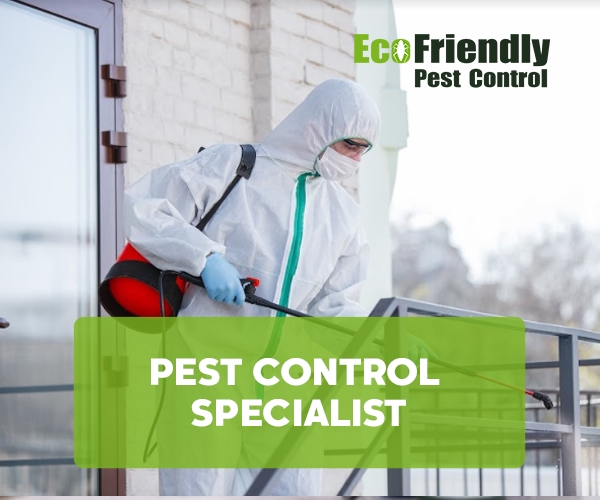 Pest Control Canning Vale