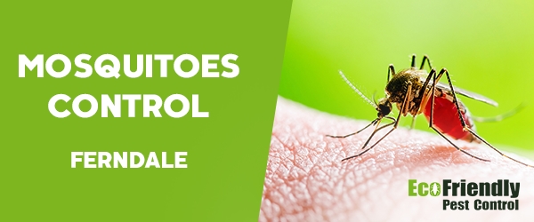 Mosquitoes Control  Ferndale 