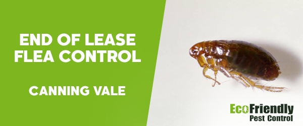 Pest Control Canning Vale