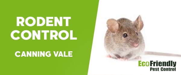 Pest Control Canning Vale