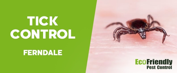 Ticks Control  Ferndale 