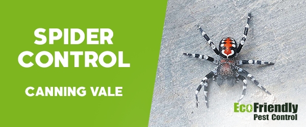 Pest Control Canning Vale