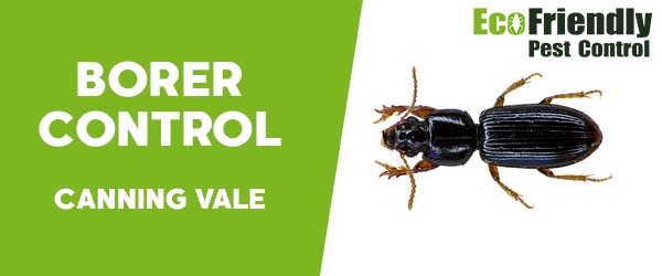 Pest Control Canning Vale