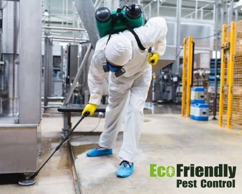 Pest Control Lynwood