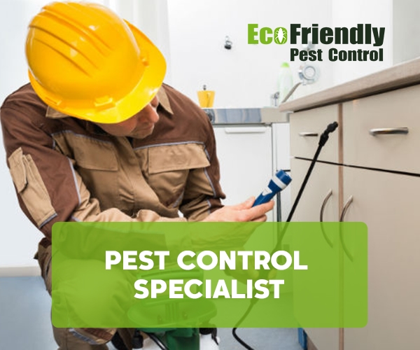 Pest Control Lynwood