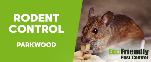 Rodent Treatment  Parkwood 