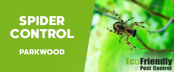 Spider Control  Parkwood 