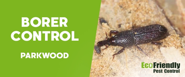 Borer Control  Parkwood 