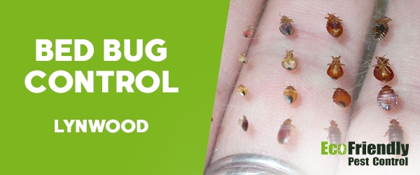 Bed Bug Control Lynwood