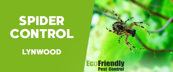 Pest Control Lynwood