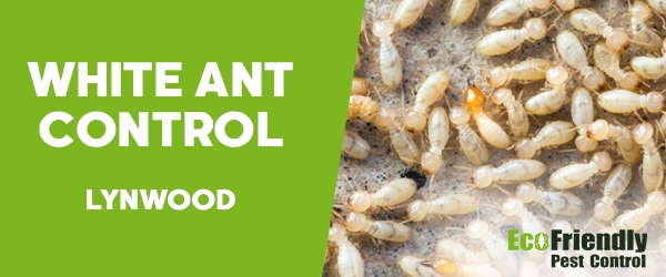 Pest Control Lynwood
