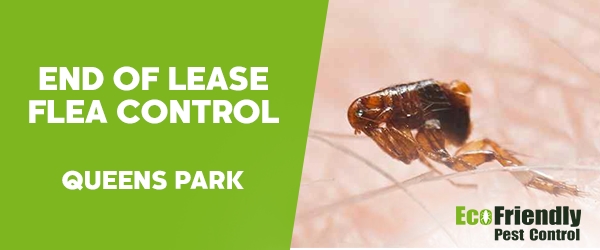 End of Lease Flea Control  Queens Park 